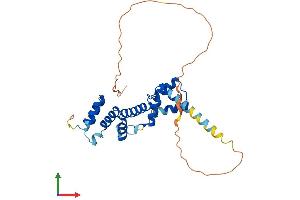 Protein Structure (PS) image for SIX Homeobox 1 (SIX1) (AA 1-284) protein (His tag) (ABIN7555466)