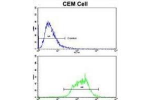 Flow Cytometry (FACS) image for anti-Mitochondrially Encoded NADH Dehydrogenase 5 (MT-ND5) antibody (ABIN3002895)