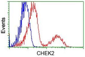 Flow Cytometry (FACS) image for anti-Checkpoint Kinase 2 (CHEK2) antibody (ABIN1497499) (CHEK2 Antikörper)