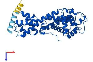 ELMOD2 Protein (AA 1-293) (His tag)