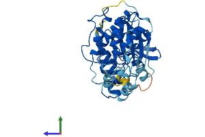 Protein Structure (PS) image for Mitogen-Activated Protein Kinase 13 (MAPK13) (AA 1-365) protein (His tag) (ABIN7554590)