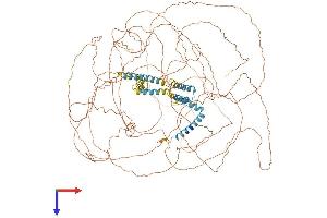 Reticulon 4 Protein (RTN4) (AA 1-1192) (His tag)