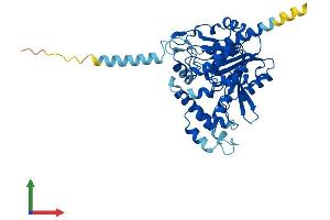 Protein Structure (PS) image for Abhydrolase Domain Containing 2 (ABHD2) (AA 1-425) protein (His tag) (ABIN7561752)