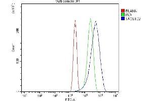 Flow Cytometry analysis of RT4 cells using anti-TROP2/TACSTD2 antibody (ABIN7603102). (TACSTD2 Antikörper  (Middle Region))