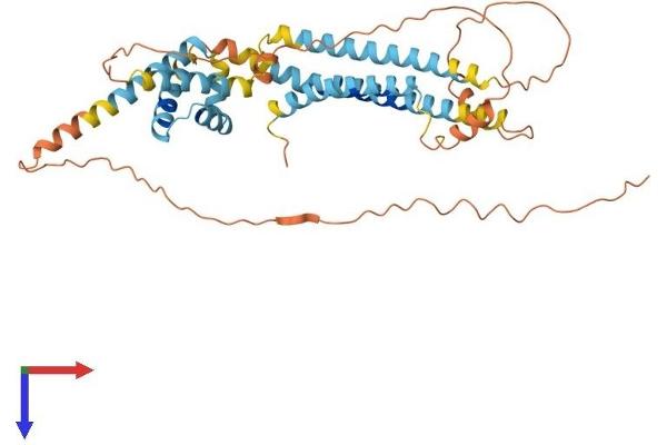 APOL3 Protein (AA 1-402) (His tag)