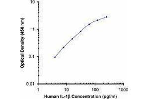 ELISA image for anti-Interleukin 1, beta (IL1B) antibody (Biotin) (ABIN2661221) (IL-1 beta Antikörper  (Biotin))