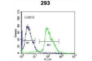 Flow Cytometry (FACS) image for anti-Kallikrein 7 (KLK7) antibody (ABIN3002618) (Kallikrein 7 Antikörper)