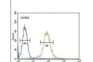 SMS Antibody (ABIN652064 and ABIN2840532) flow cytometric analysis of Hela cells (right histogram) compared to a negative control cell (left histogram). (SMS Antikörper)