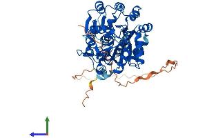 Protein Structure (PS) image for DEAD (Asp-Glu-Ala-Asp) Box Polypeptide 6 (DDX6) (AA 1-483) protein (His tag) (ABIN7547018)