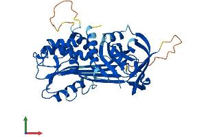 Protein Structure (PS) image for serpin Peptidase Inhibitor, Clade B (Ovalbumin), Member 3 (SERPINB3) (AA 1-390) protein (His tag) (ABIN7546267)