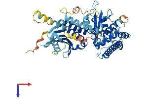C9ORF72 Protein (AA 1-481) (His tag)