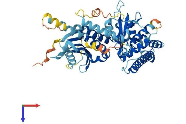 C9ORF72 Protein (AA 1-481) (His tag)