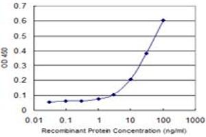 Detection limit for recombinant GST tagged RORC is 1 ng/ml as a capture antibody. (RORC Antikörper  (AA 412-517))