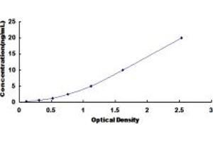 Typical standard curve (IL7R ELISA Kit)