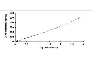 Typical standard curve (IL-19 ELISA Kit)