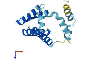 GOLT1B Protein (AA 1-138) (His tag)