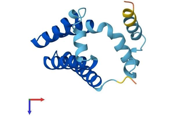 GOLT1B Protein (AA 1-138) (His tag)