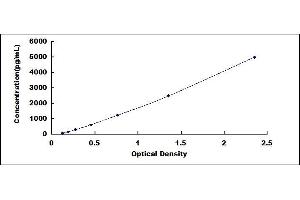 ABCA4 ELISA Kit