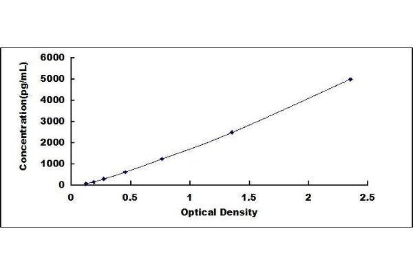 ABCA4 ELISA Kit