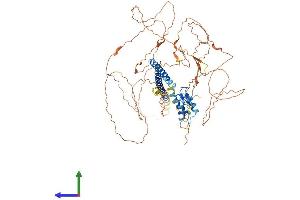 Protein Structure (PS) image for TGF-beta Activated Kinase 1/MAP3K7 Binding Protein 2 (TAB2) (AA 1-693) protein (His tag) (ABIN7564885)
