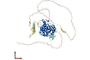 Protein Structure (PS) image for 5'-Nucleotidase, Cytosolic IB (NT5C1B) (AA 1-573) protein (His tag) (ABIN7560101)