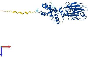 Protein Structure (PS) image for F-Box Protein 27 (FBXO27) (AA 1-280) protein (His tag) (ABIN7557909)