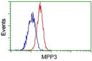 Flow cytometric Analysis of Jurkat cells, using anti-MPP3 antibody (ABIN2453326), (Red), compared to a nonspecific negative control antibody (ABIN2453326), (Blue). (MPP3 Antikörper)