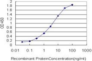 Detection limit for recombinant GST tagged UBE2S is approximately 0. (UBE2S Antikörper  (AA 1-222))