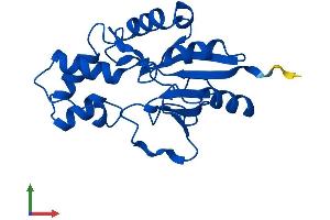 Protein Structure (PS) image for 5',3'-Nucleotidase, Cytosolic (NT5C) (AA 1-200) protein (His tag) (ABIN7561690)
