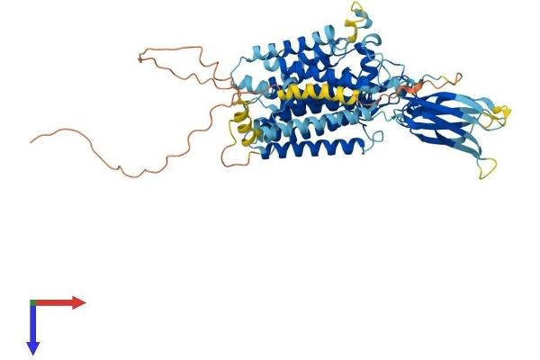 HGSNAT Protein (AA 1-656) (His tag)