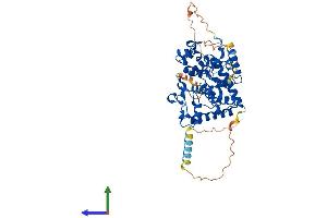 Protein Structure (PS) image for Galactose 3-O-Sulfotransferase 4 (GAL3ST4) (AA 1-486) protein (His tag) (ABIN7547842)