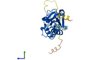 Protein Structure (PS) image for Phosducin (PDC) (AA 1-244) protein (His tag) (ABIN7561733)