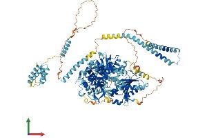 Protein Structure (PS) image for DEAH (Asp-Glu-Ala-His) Box Polypeptide 16 (DHX16) (AA 1-1041) protein (His tag) (ABIN7553664)