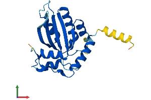 Protein Structure (PS) image for Activation-Induced Cytidine Deaminase (AICDA) (AA 1-198) protein (His tag) (ABIN7556319)