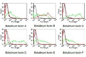Flow Cytometry (FACS) image for anti-Botulinum Neurotoxin Type B (BoNT/B) antibody (ABIN179725)