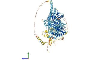 Protein Structure (PS) image for Chromodomain Helicase DNA Binding Protein 1-Like (CHD1L) (AA 1-900) protein (His tag) (ABIN7564959)