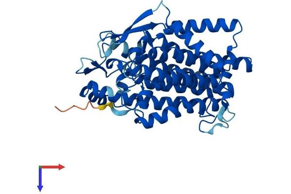 TM7SF2 Protein (AA 1-418) (His tag)