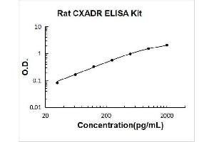 Coxsackie Virus and Adenovirus Receptor (CXADR) ELISA Kit