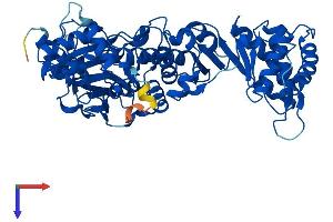 NAPRT1 Protein (AA 1-538) (His tag)