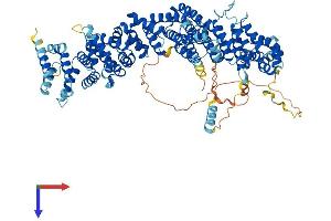 TELO2 Protein (AA 1-840) (His tag)