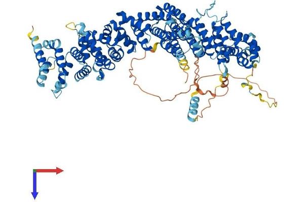 TELO2 Protein (AA 1-840) (His tag)