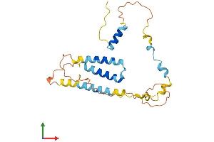Protein Structure (PS) image for SERTA Domain Containing 1 (SERTAD1) (AA 1-236) protein (His tag) (ABIN7561659)