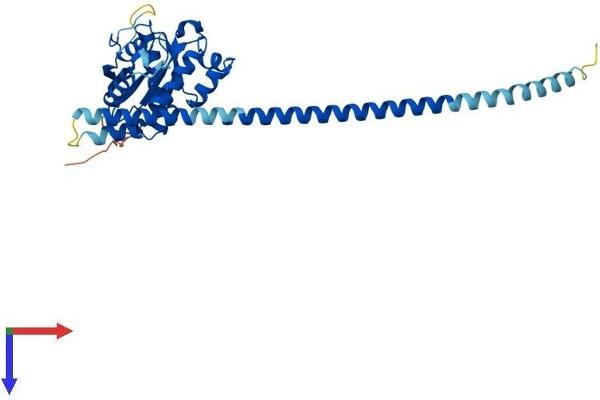 GIMAP2 Protein (AA 1-337) (His tag)