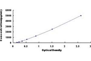 Typical standard curve (EMILIN2 ELISA Kit)