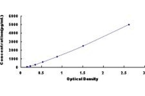 EMILIN2 ELISA Kit