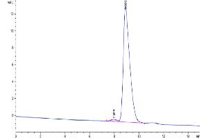 Size-exclusion chromatography-High Pressure Liquid Chromatography (SEC-HPLC) image for Plasminogen Activator, Urokinase Receptor (PLAUR) (AA 23-305) protein (His-Avi Tag) (ABIN7275407)