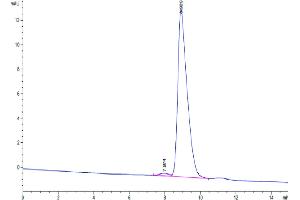The purity of Human uPAR is greater than 95 % as determined by SEC-HPLC. (PLAUR Protein (AA 23-305) (His-Avi Tag))