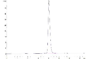 The purity of Human LILRB1 is greater than 95 % as determined by SEC-HPLC. (LILRB1 Protein (AA 24-458) (His-Avi Tag))