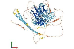 AlphaFold protein structure predicition of Mouse Recombinant Rasal3 Protein, UniprotID Q8C2K5
