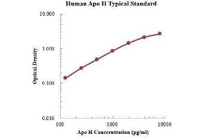 ELISA image for Apolipoprotein H (Beta-2-Glycoprotein I) (APOH) ELISA Kit (ABIN3198400)